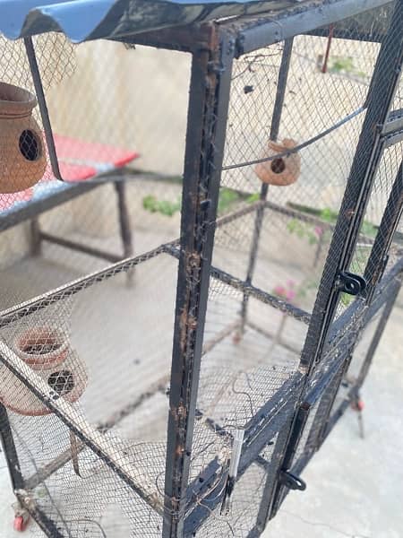 bird cage for sale 0