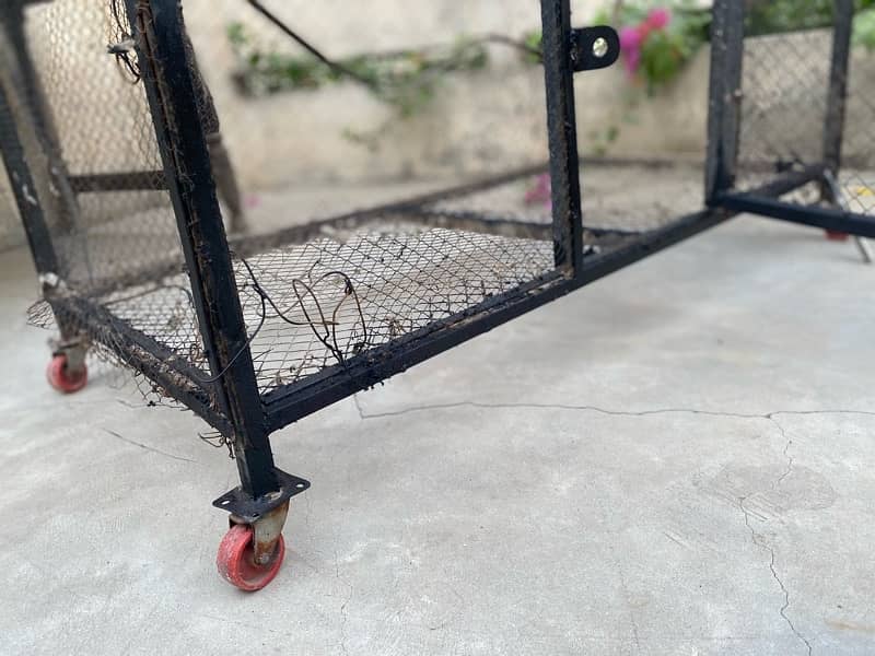 bird cage for sale 4