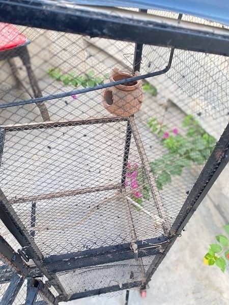 bird cage for sale 6