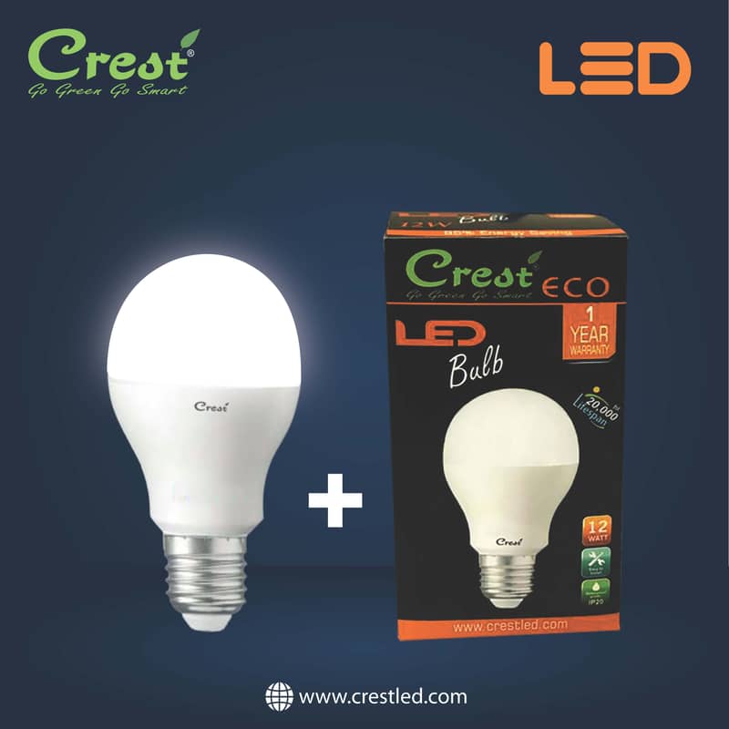 LED BULB LIGHT 12W B22/E27 1