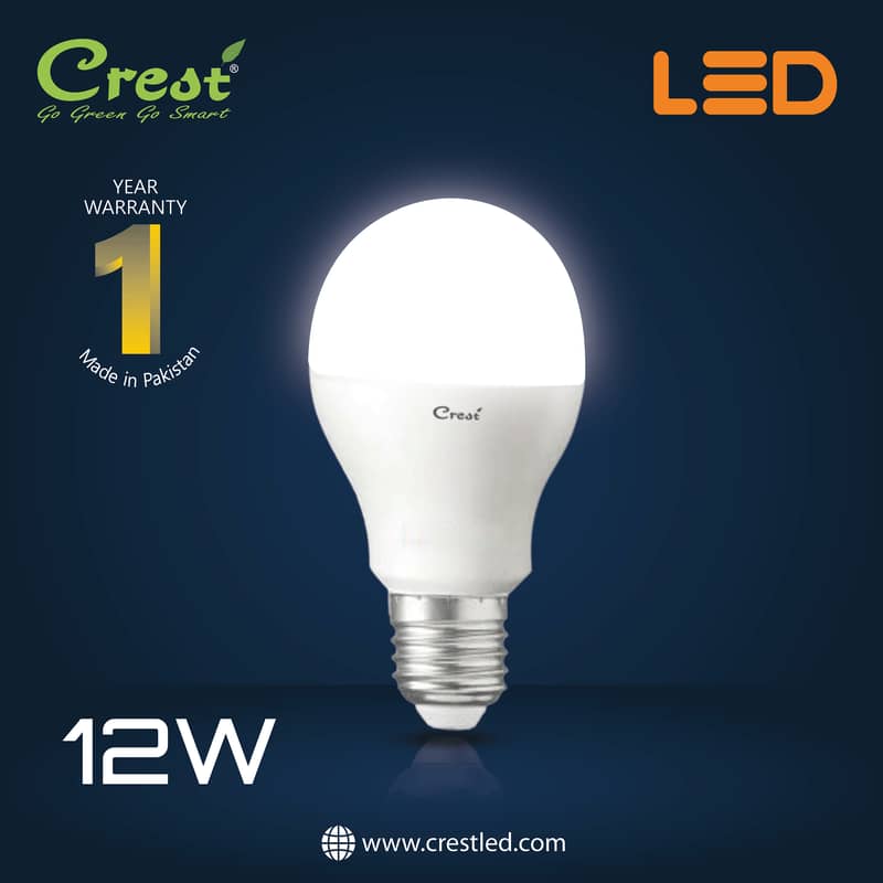 LED BULB LIGHT 12W B22/E27 4