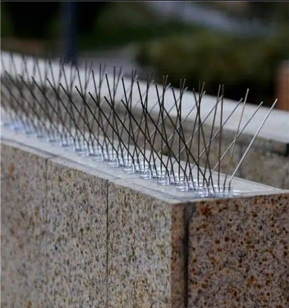 Defender Anti-Bird Spikes Stainless steel Pigeon spikes Delivery Avail 3