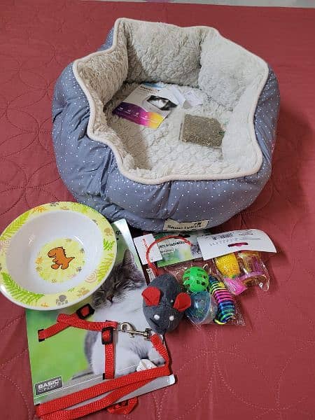 cat accessories bedding and toys 0