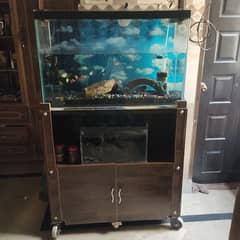 fish aquarium with all setup for sale 0
