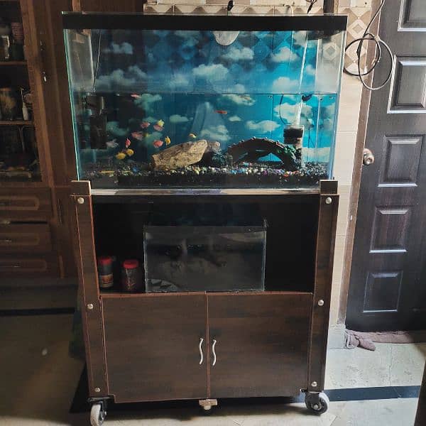 fish aquarium with all setup for sale 1