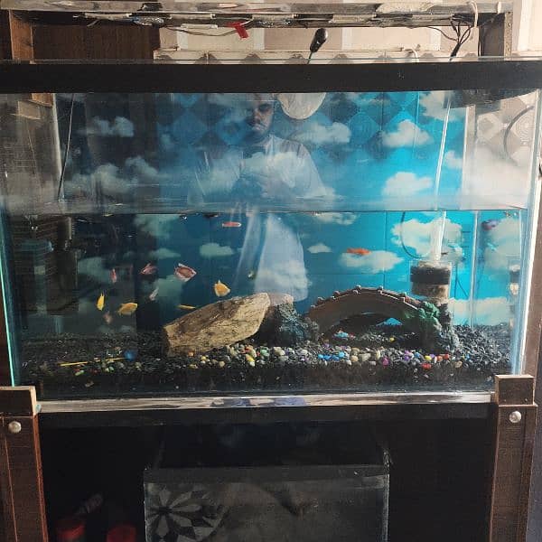 fish aquarium with all setup for sale 3