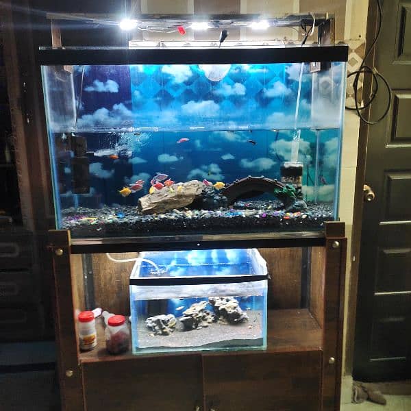 fish aquarium with all setup for sale 7