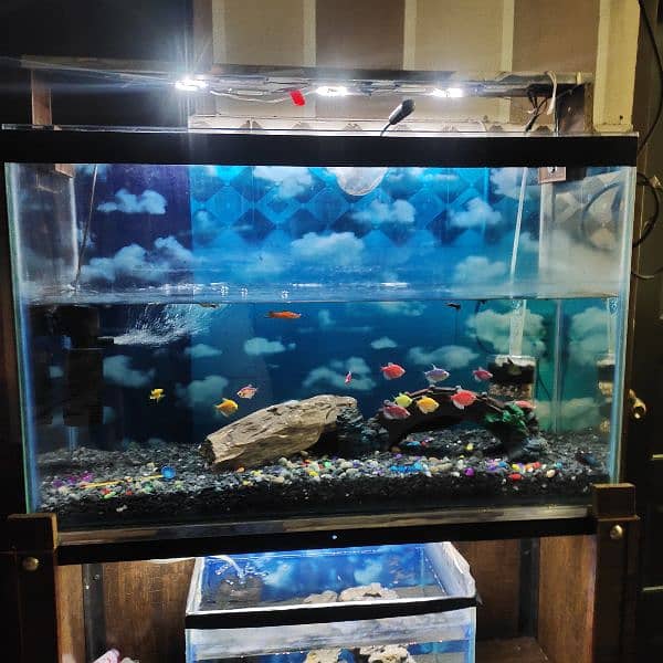 fish aquarium with all setup for sale 9