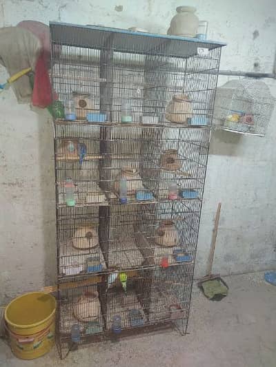 Cage 12 boxes