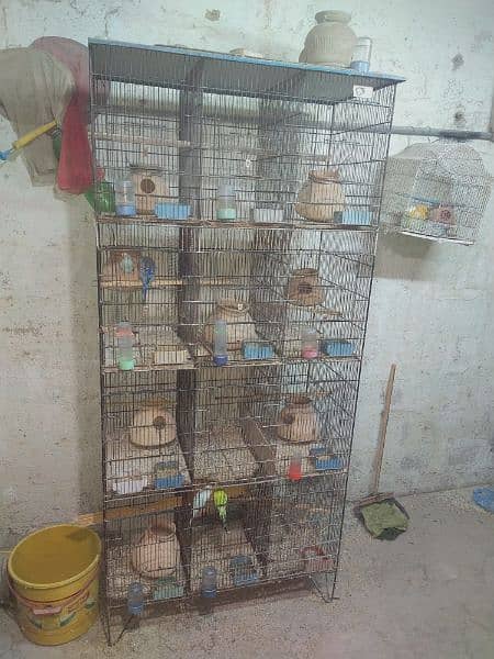 Cage 12 boxes 0