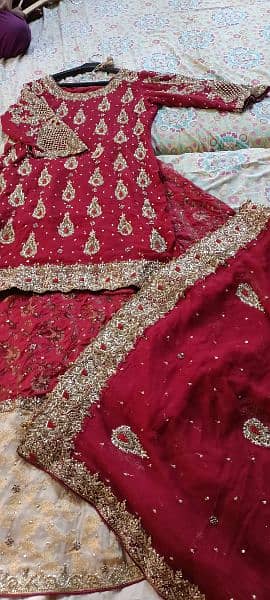 Farshi bridal sharara 1