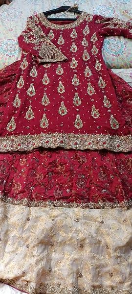 Farshi bridal sharara 4