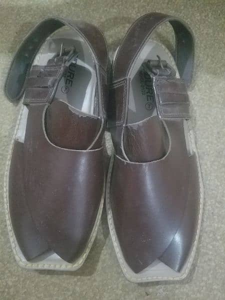 Service shoes peshawari on sale chappal