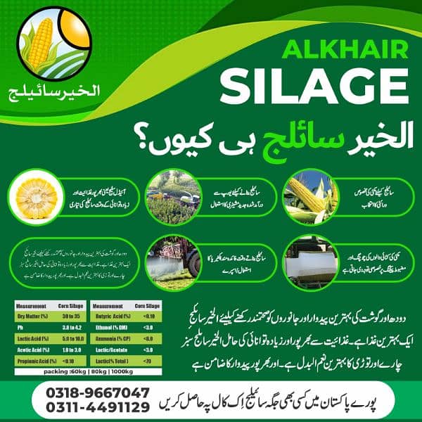 Al khair silage 0