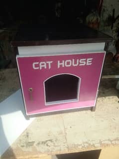 Cat clearance house olx