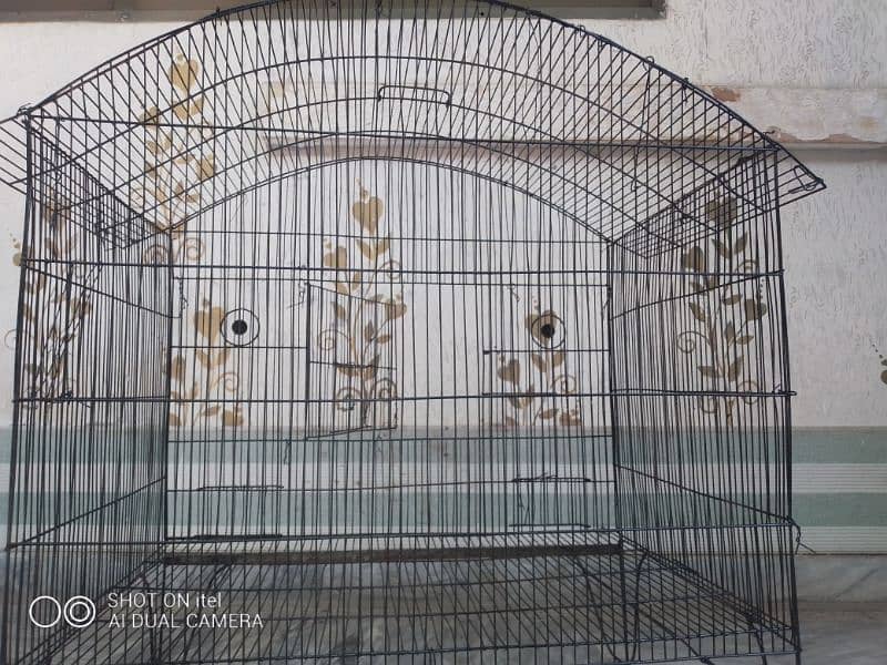 Bird Cage 1