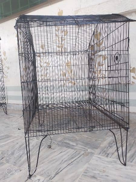 Bird Cage 2