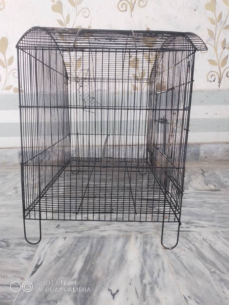 Bird Cage 4