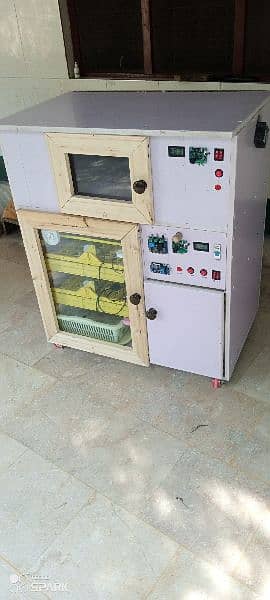 INCUBATOR+BROODER 5