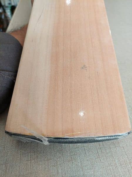 Hard ball bat plain 6