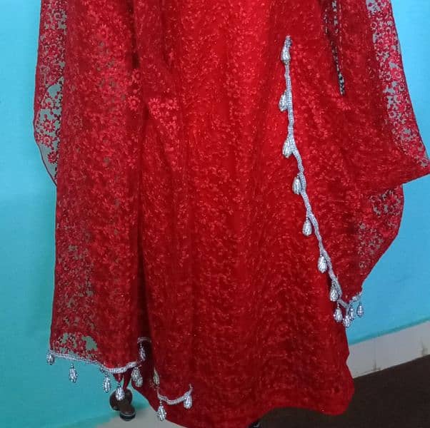 decent red net dress for sale 3