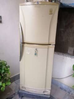 Medium Refrigerator 0