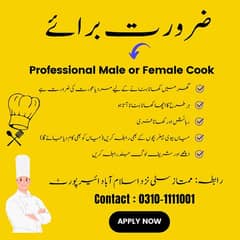 Professional Male or Female cook needed on urgent basis