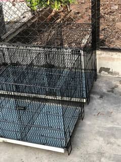 Cage