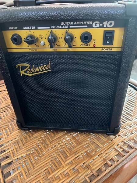 Redwood Electric Guitar with Redwood Amplifier 2