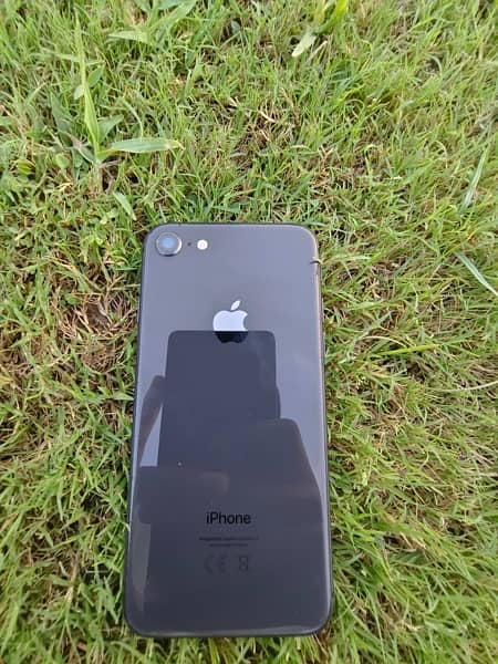 IPhone 8 pta approve -256gb -78%battery all set original nd ok 1