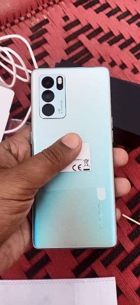 oppo reno 6 pro olx