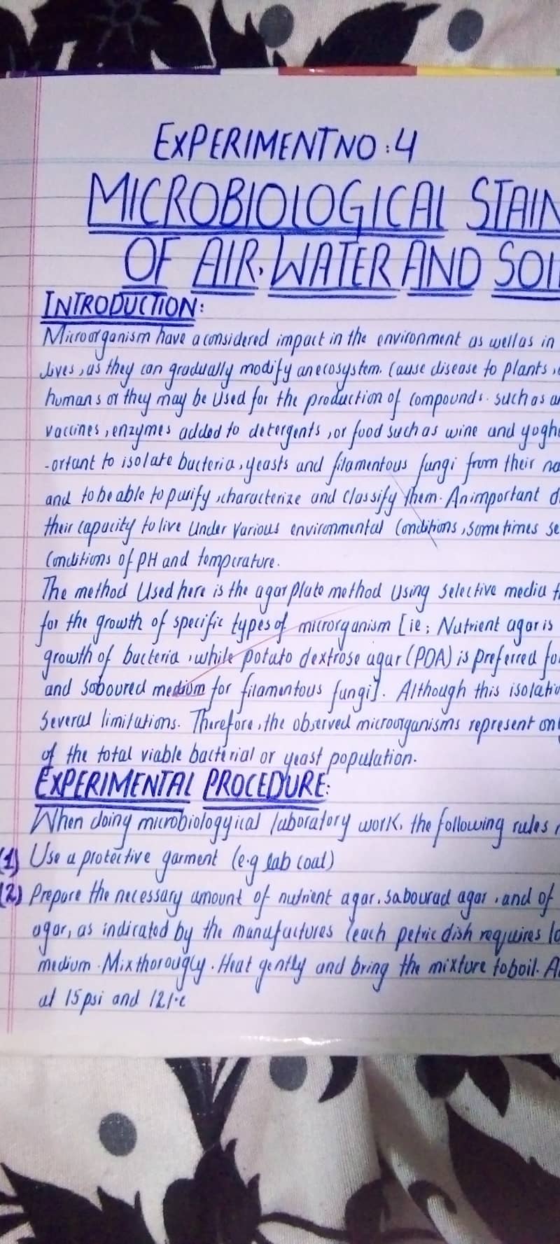 Handwritten assignment work 0