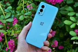 OnePlus Nord2 5G PTA Approved