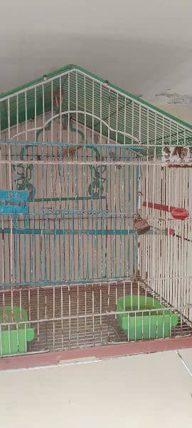 used cage Bird