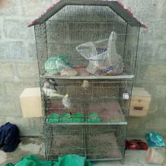 2 pair of coactail with cage 0