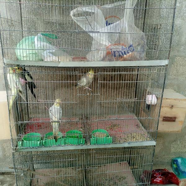 2 pair of coactail with cage 4