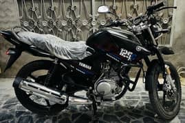 Yamaha YBR-125G Black 2023 model fresh bike BLACK