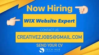 Web Developer | Wix & Wordpress Website Expert