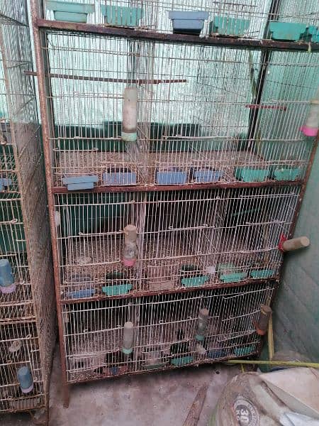 12 Portion 2 Cages Available 2