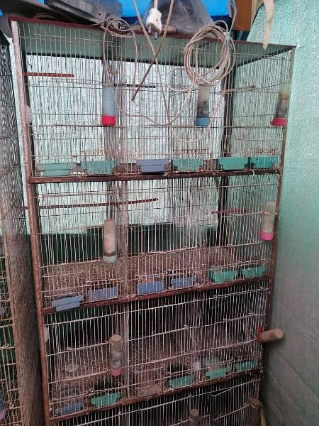12 Portion 2 Cages Available 3