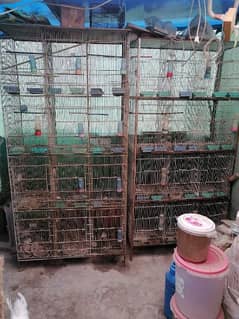 12 Portion 2 Cages Available 0