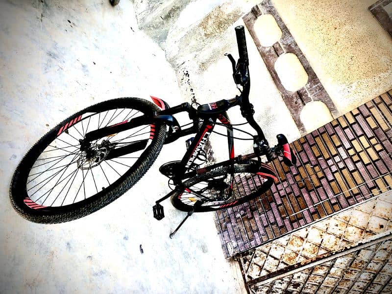 Imported, Champion, Mountain Bike, Bicycle, Cycle. 1