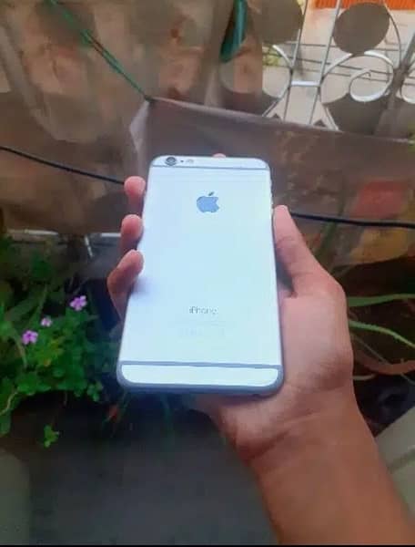 iphone 6s sale in olx