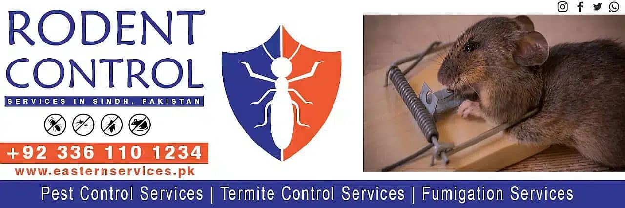 Demak Control, Termite Control, Dengue Control, Bedbugs Control 12