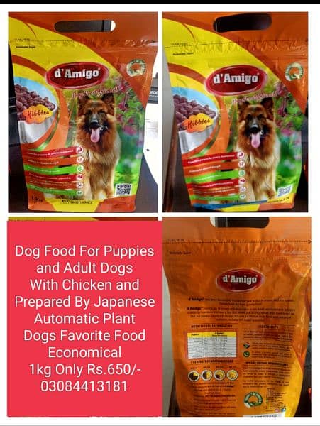 CAT and DOG Food economical price 2