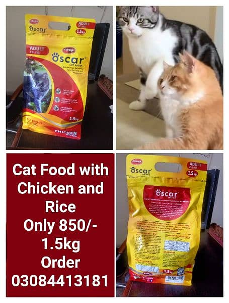 CAT and DOG Food economical price 5