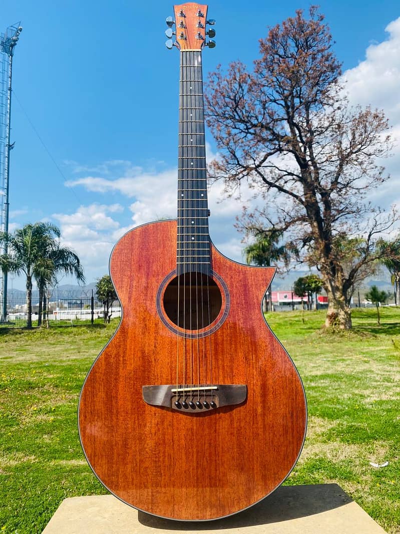 Yamaha Fender Tagima Deviser brand guitars & violins ukuleles 4