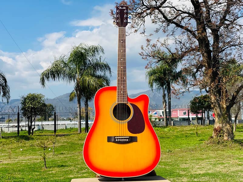 Yamaha Fender Tagima Deviser brand guitars & violins ukuleles 8