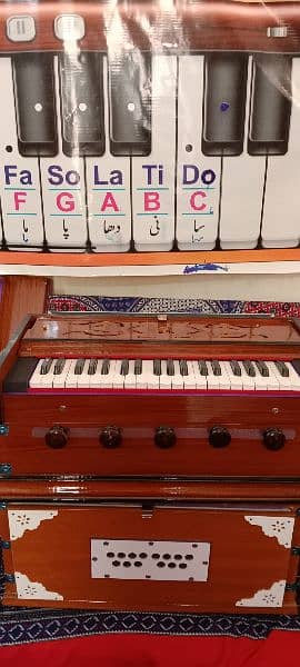 Professional Harmonium Indian and German 4