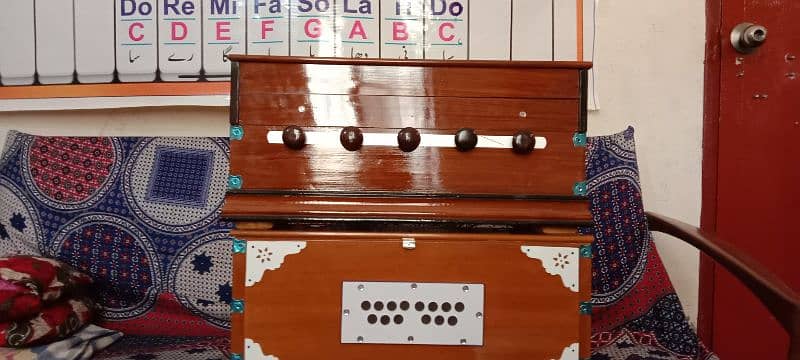 Professional Harmonium Indian and German 5